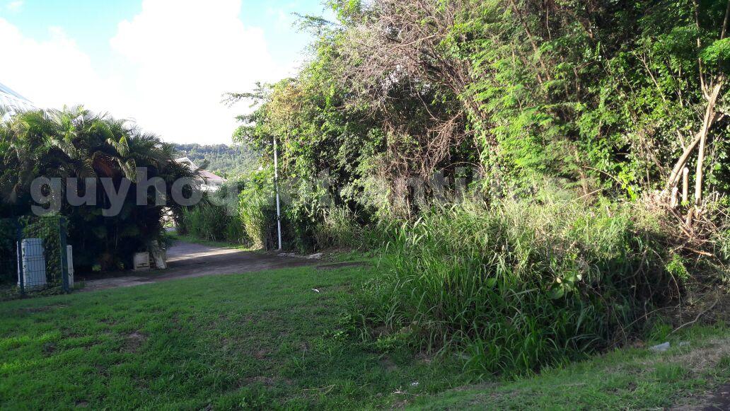 Vente Terrain