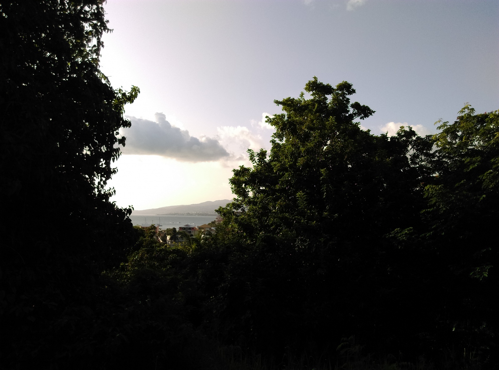 Vente Terrain